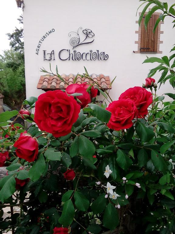 פוג'יו מורלה Agriturismo La Chiocciola מראה חיצוני תמונה
