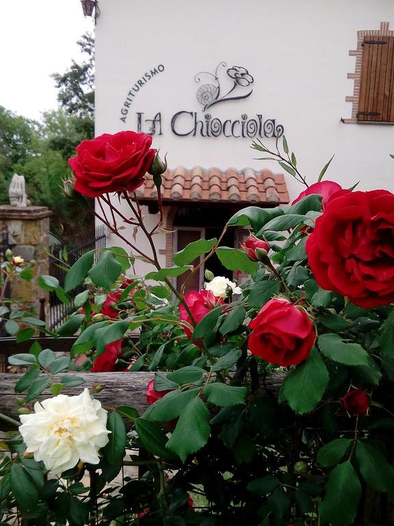 פוג'יו מורלה Agriturismo La Chiocciola מראה חיצוני תמונה